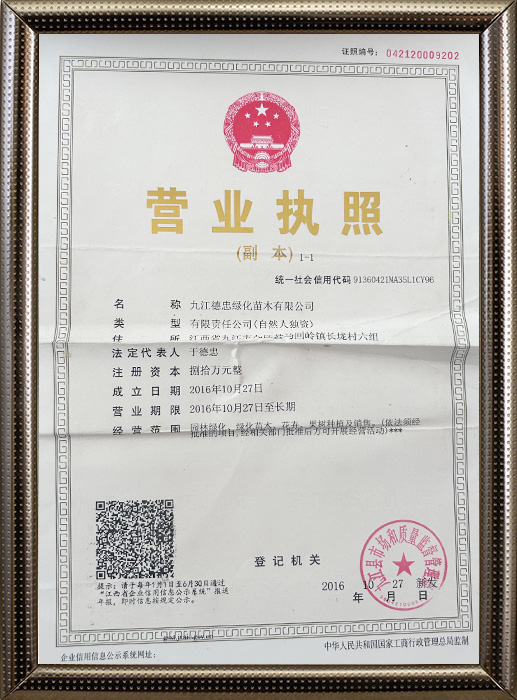 營業(yè)執(zhí)照